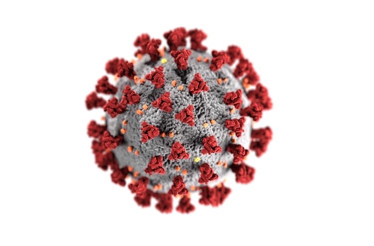 Corona Virus Corona Virus